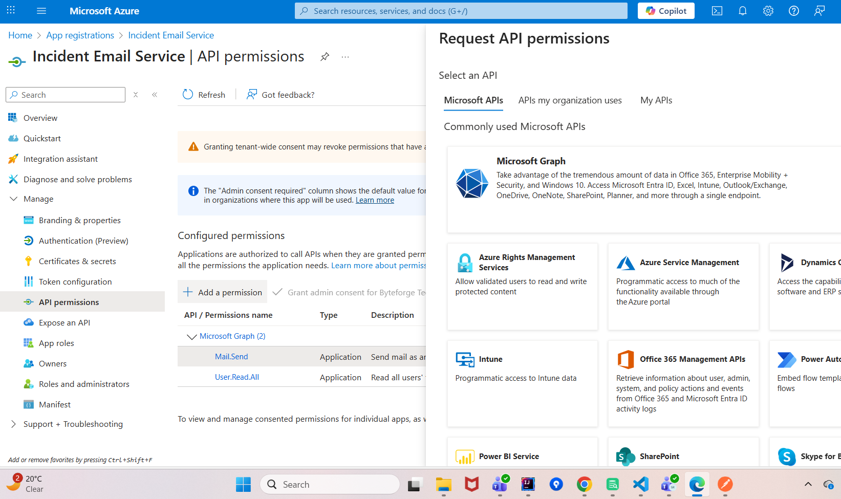 API Permission Section
